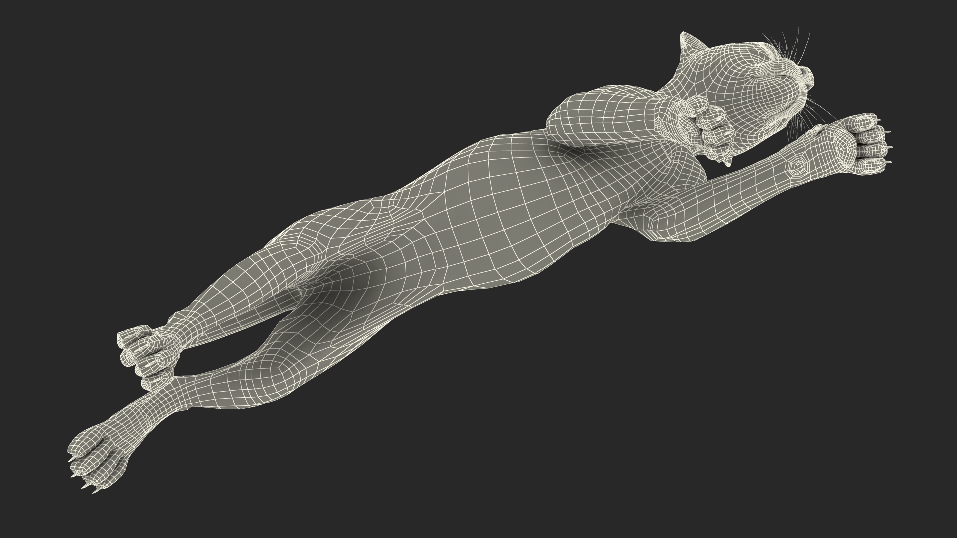 Cheetah Cub Running Pose 3D model