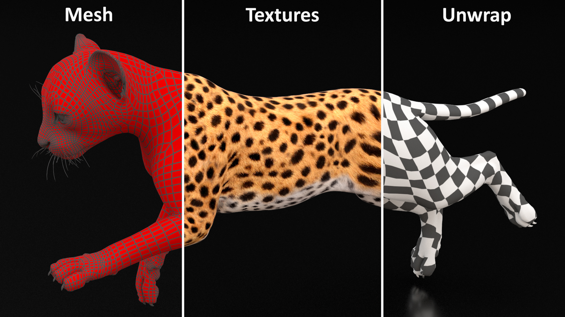 Cheetah Cub Running Pose 3D model