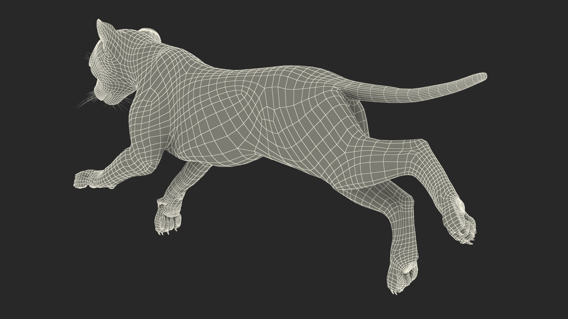 Cheetah Cub Running Pose 3D model