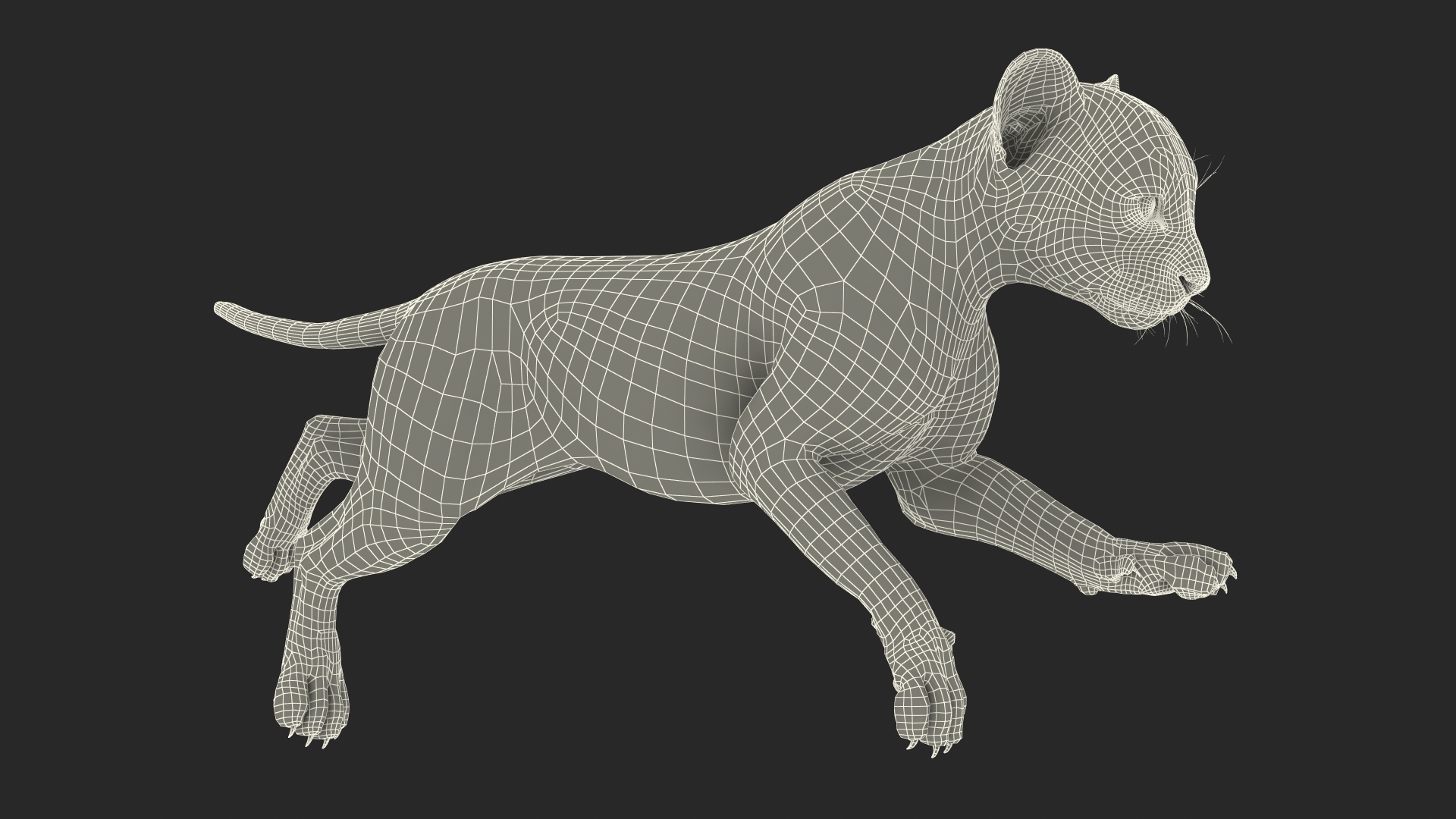 Cheetah Cub Running Pose 3D model