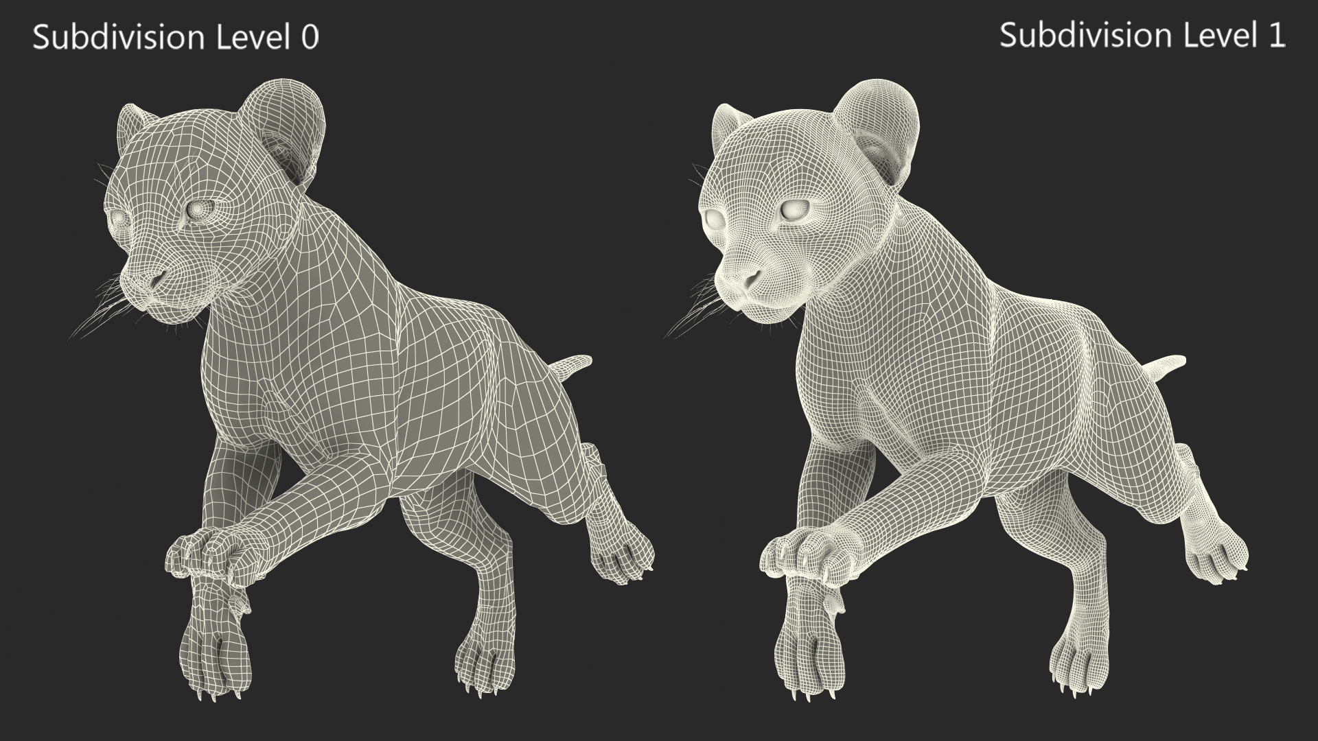 Cheetah Cub Running Pose 3D model