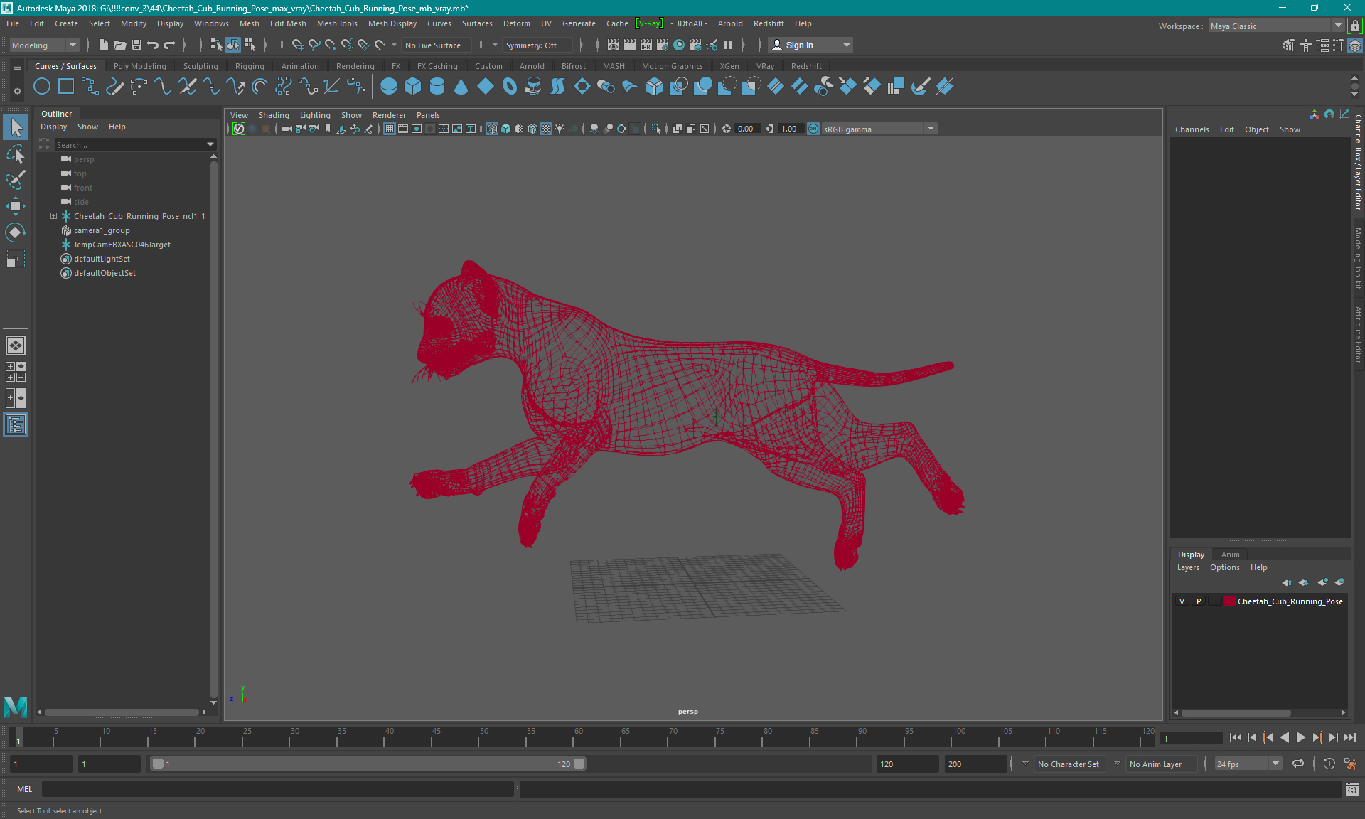 Cheetah Cub Running Pose 3D model