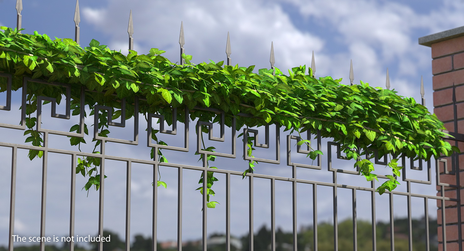 Ivy Shrub 3D model