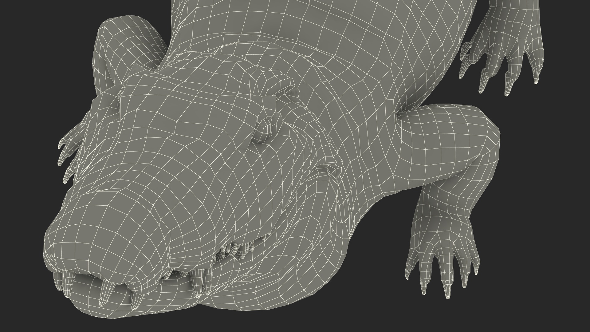 3D Black Caiman Looking Up model