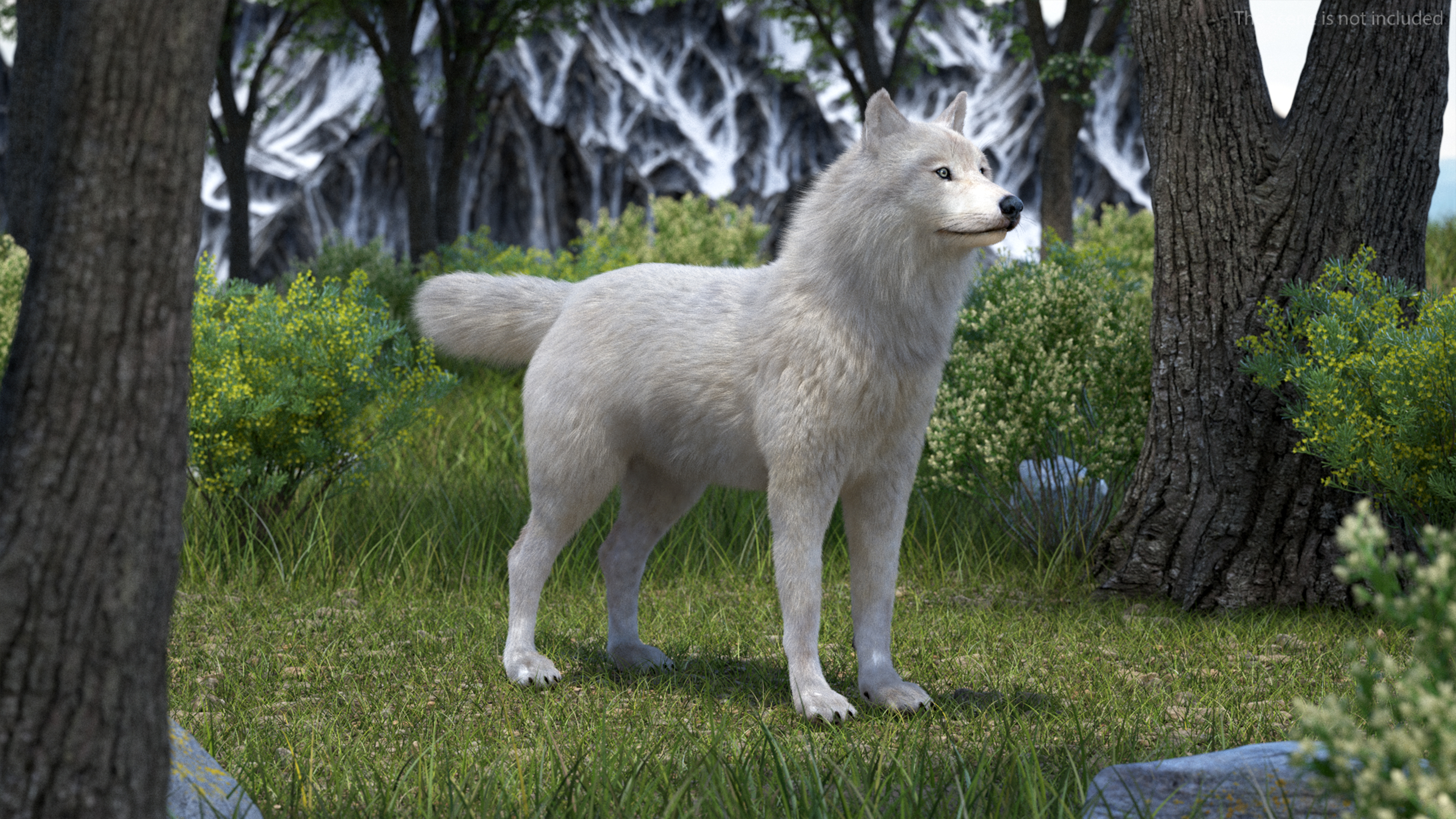 Arctic Wolf Fur Rigged 3D