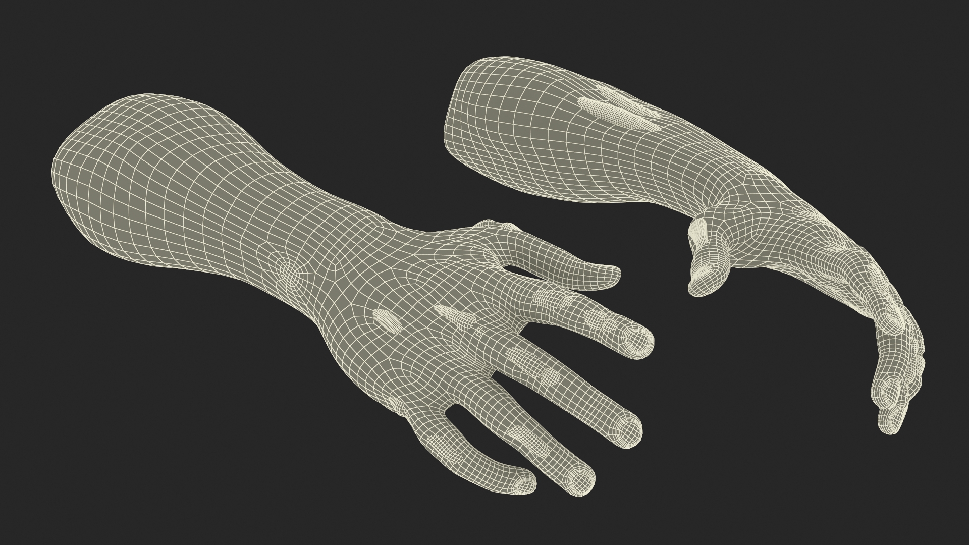 Realistic Zombie Hands Rigged 3D model