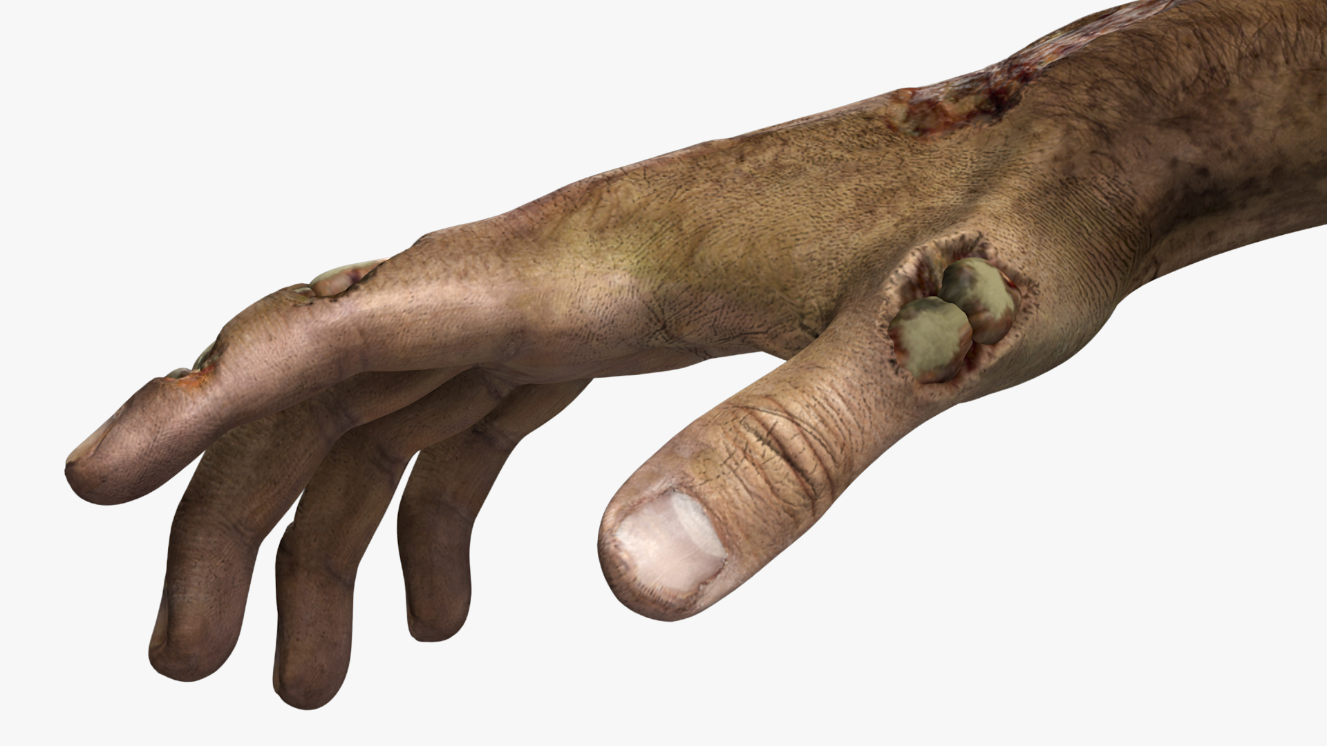 Realistic Zombie Hands Rigged 3D model