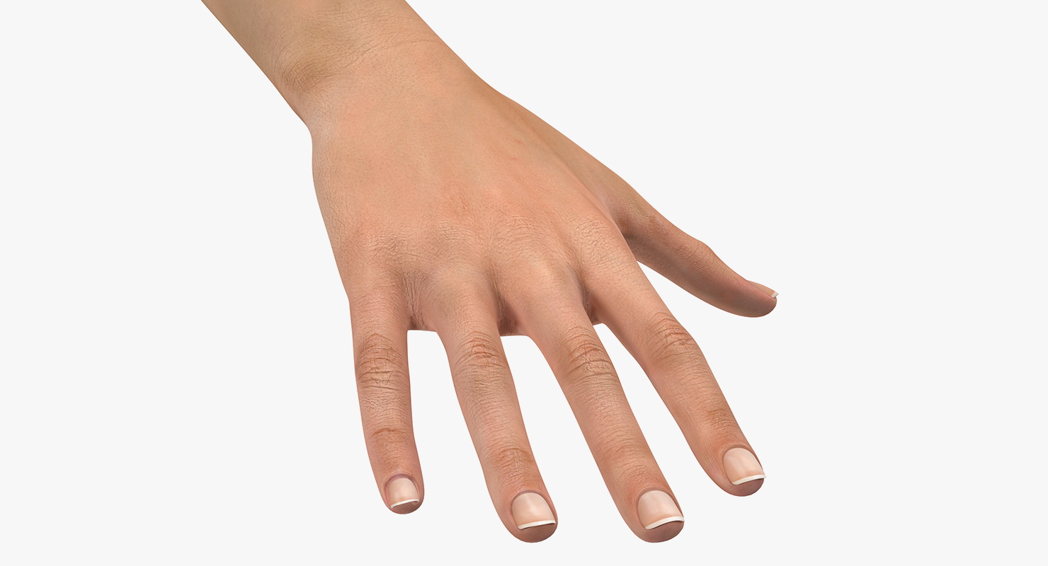 Australoid Female Hand 3D