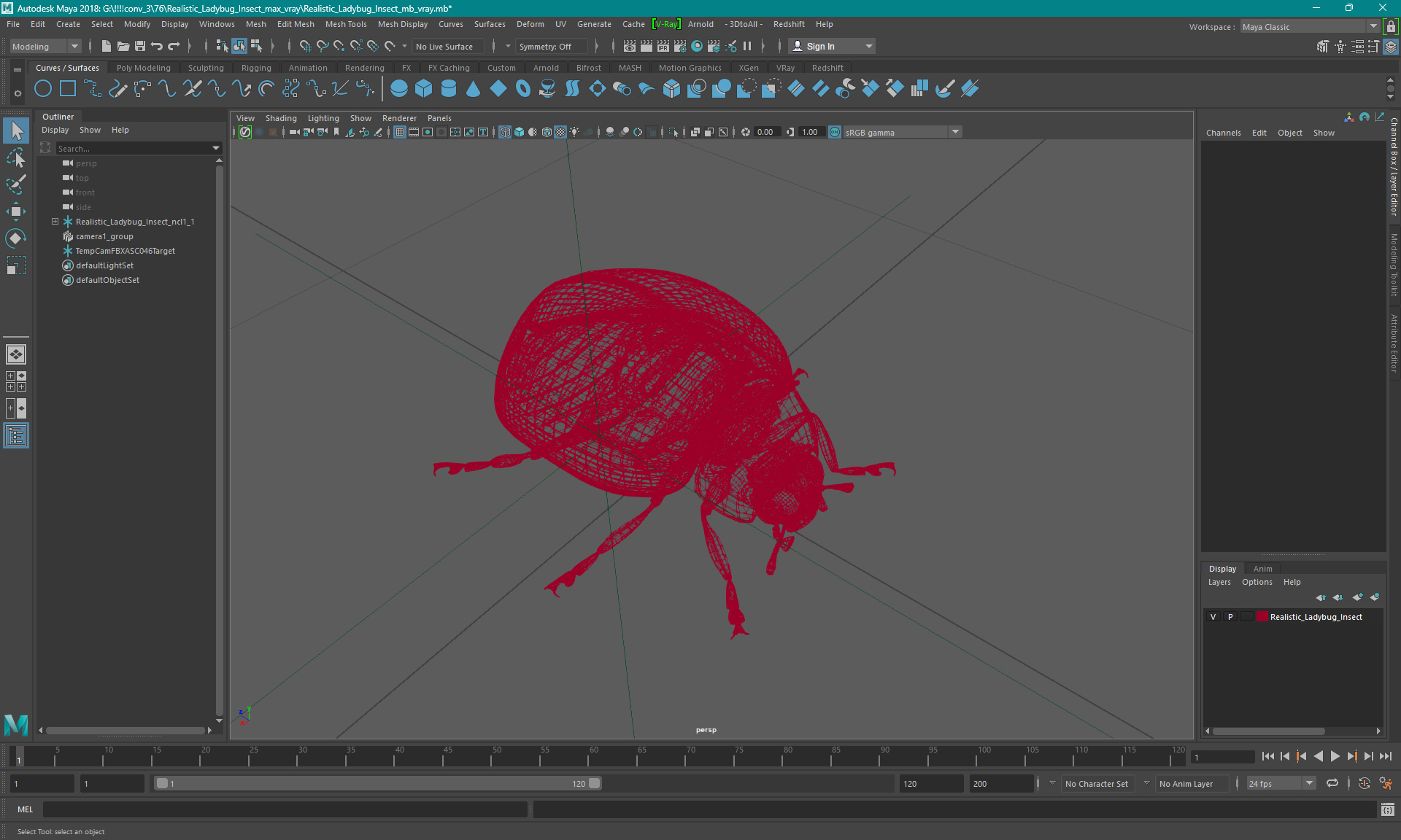 Realistic Ladybug Insect 3D model