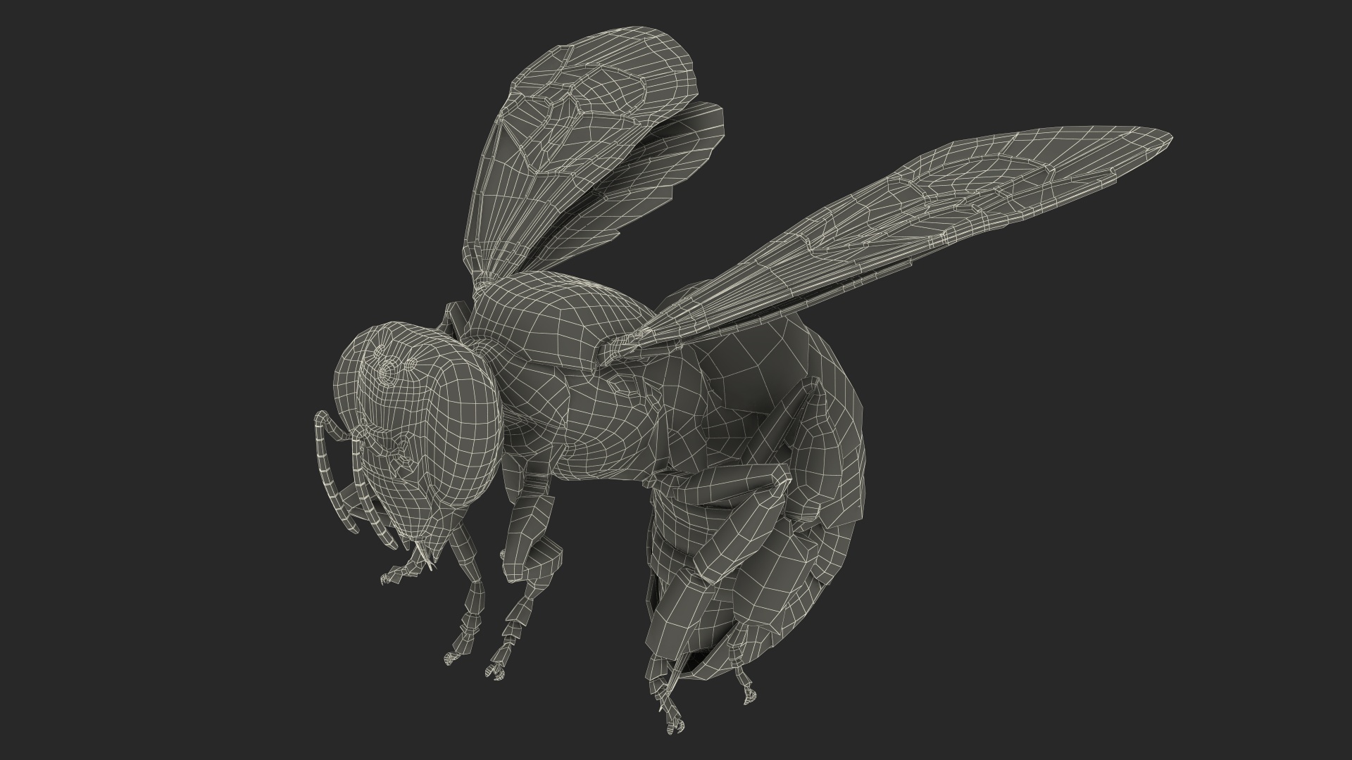 Honeybee Fur 3D