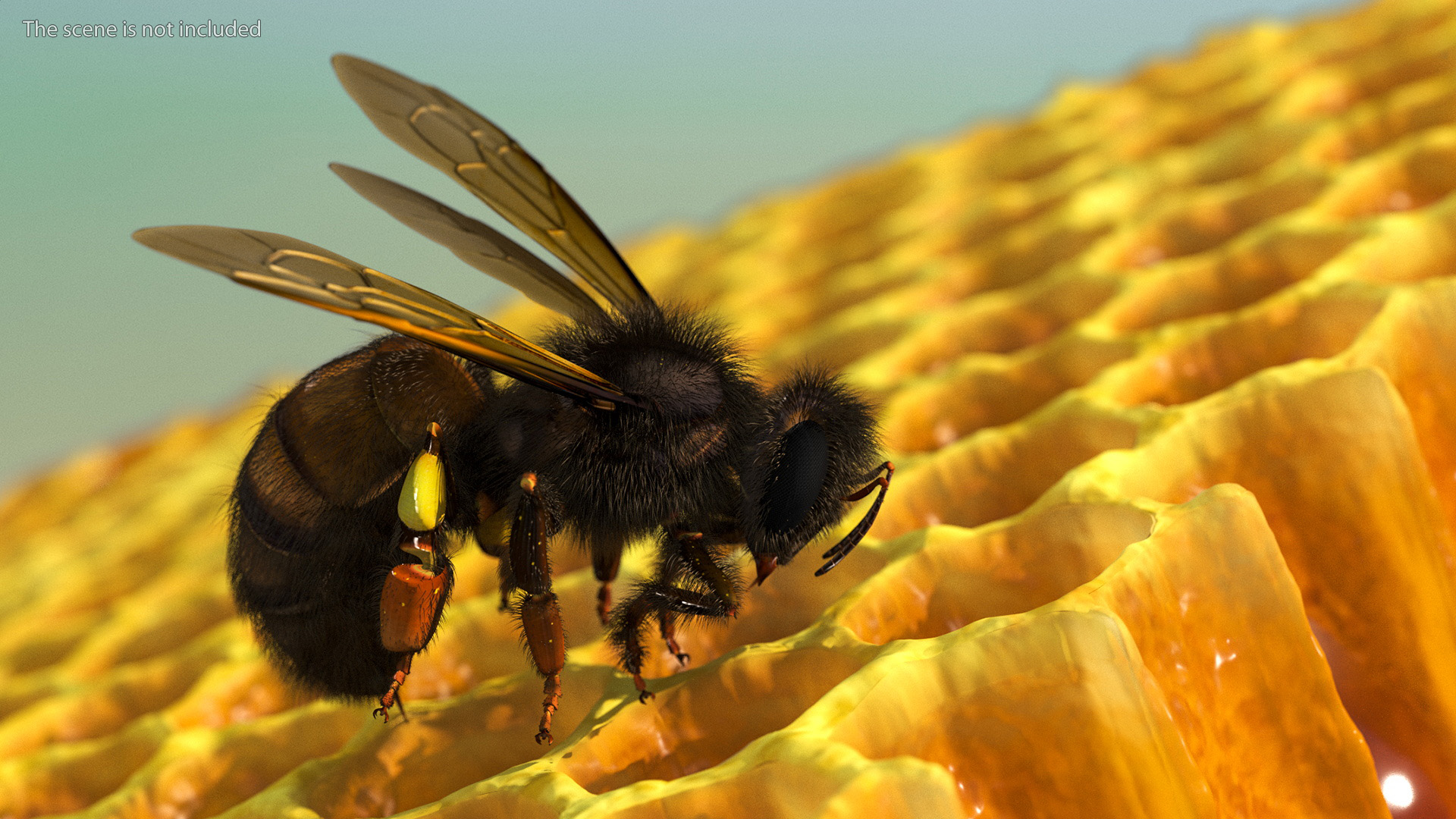 Honeybee Fur 3D