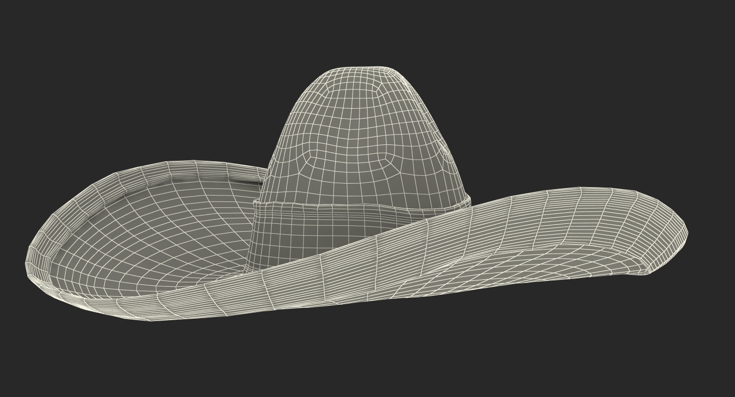 3D Straw Sombrero with Fur model