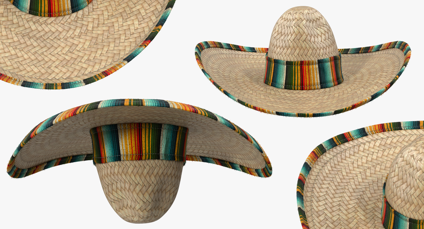 3D Straw Sombrero with Fur model