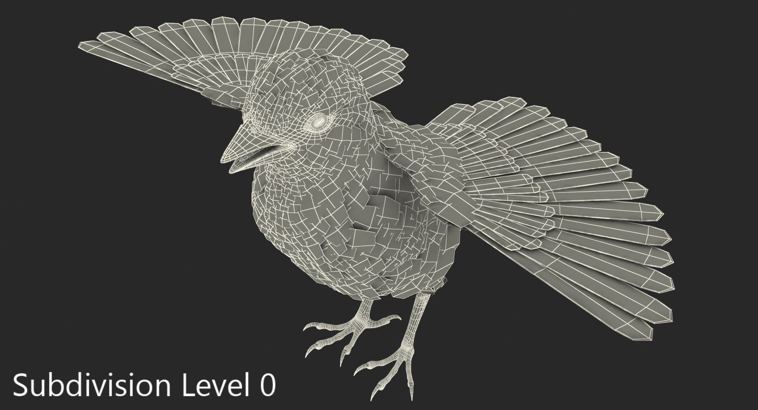 3D model House Sparrow Rigged