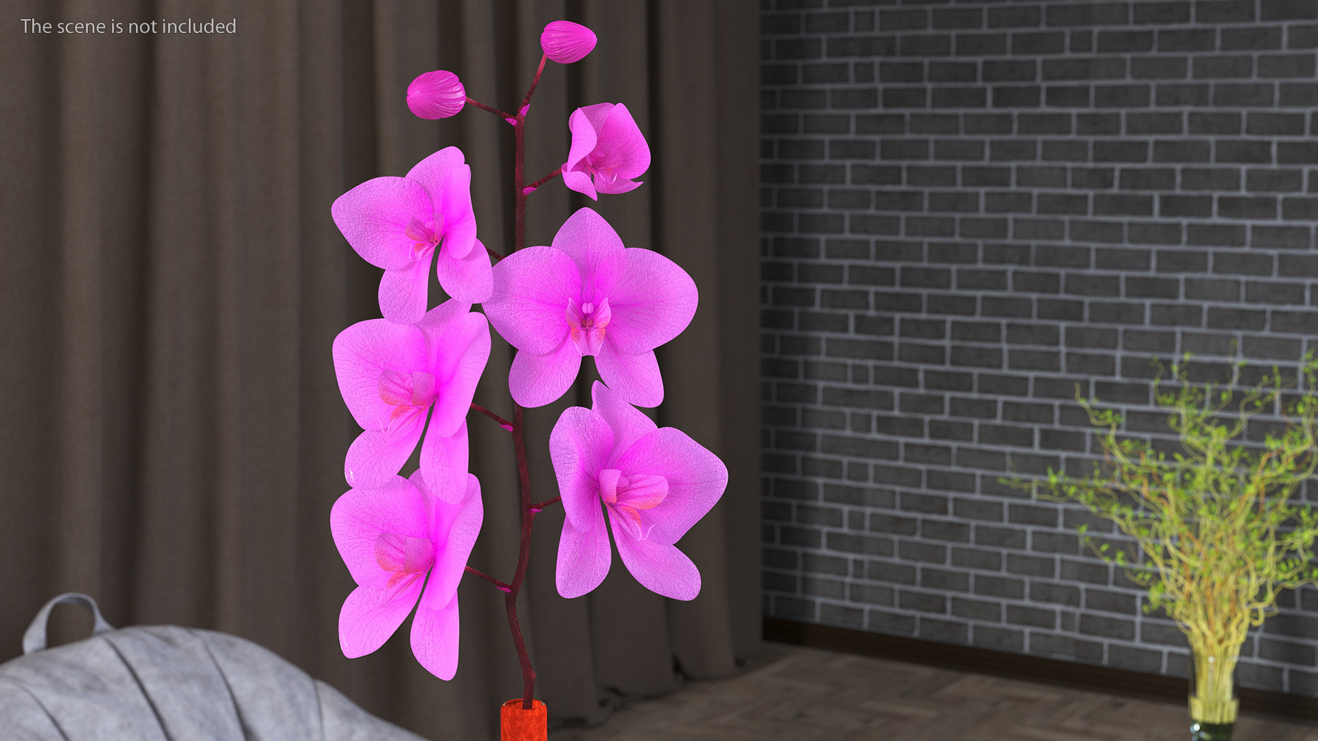 3D Small Pink Orchid in Glass Vase