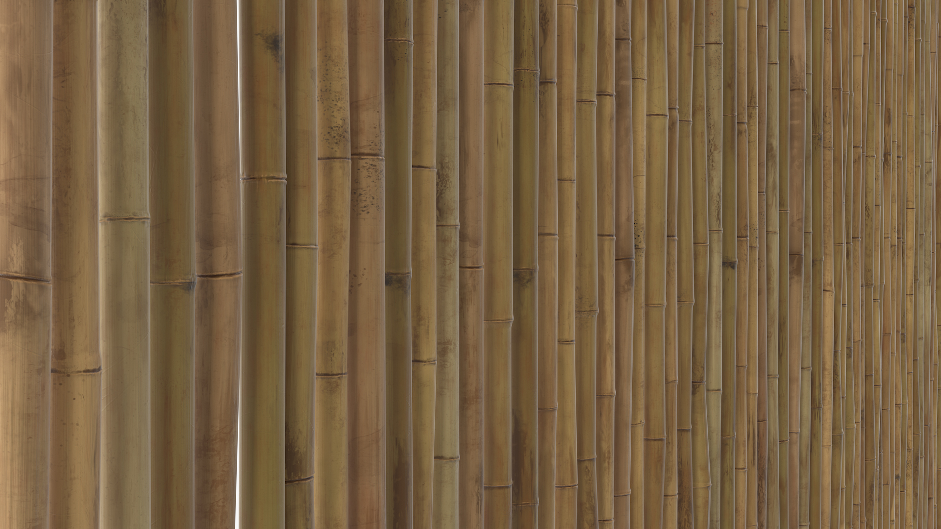 3D model Eco-Friendly Bamboo Fence