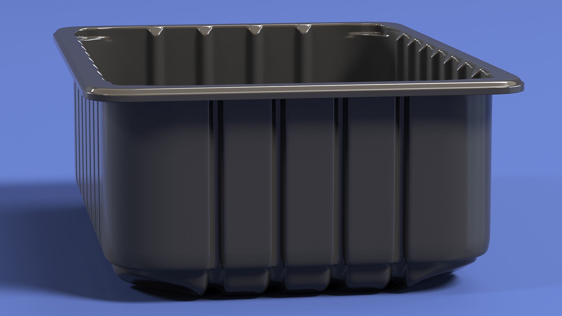 3D model Disposable Food Container without Lid 21x15cm