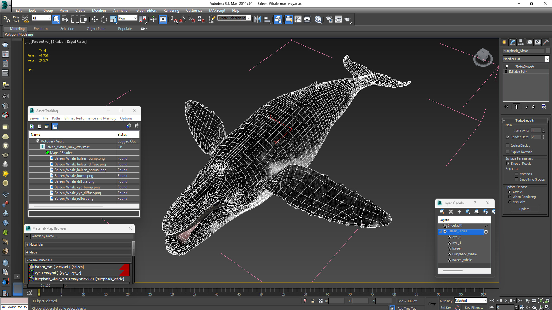 Baleen Whale 3D