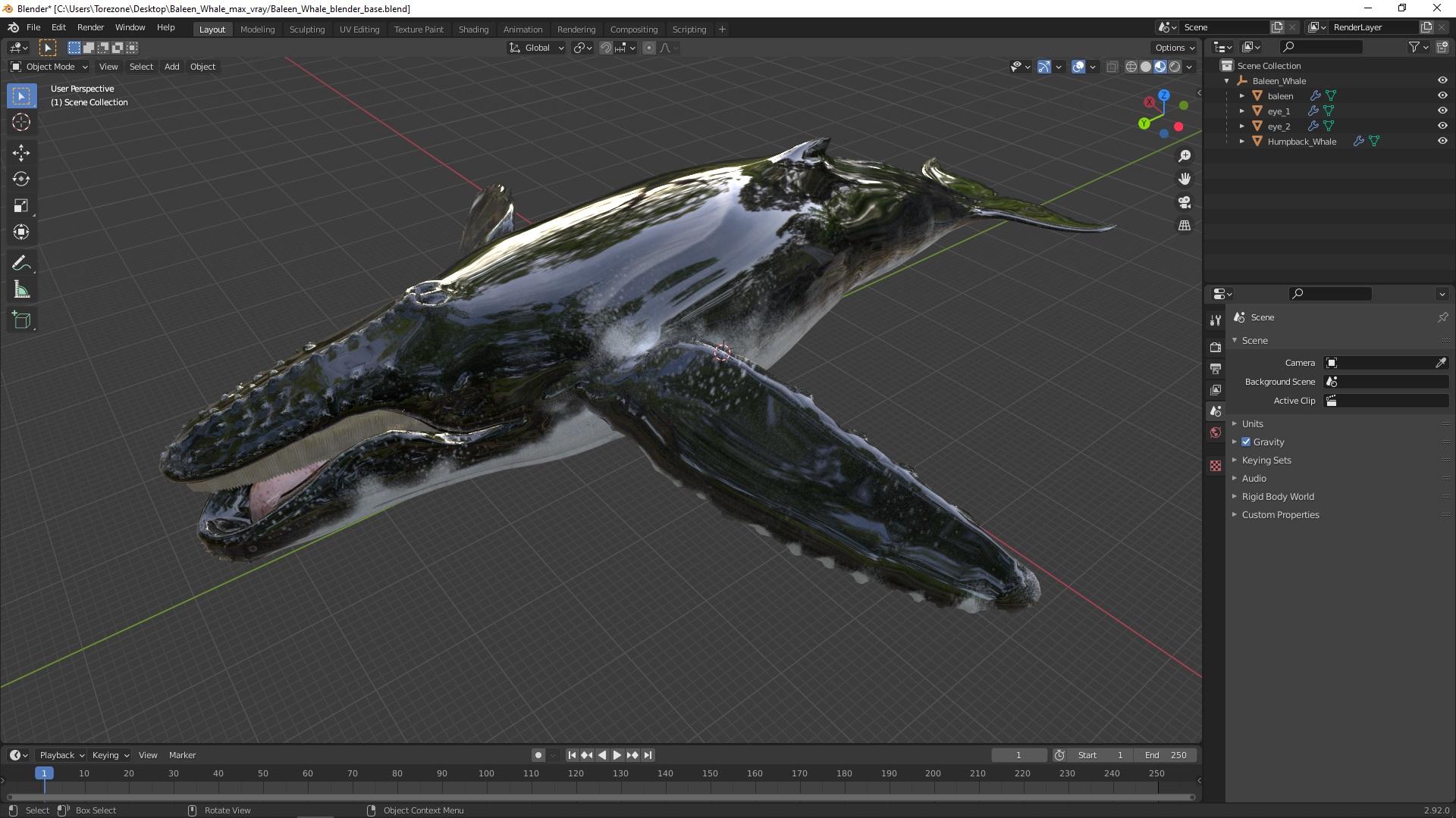 Baleen Whale 3D