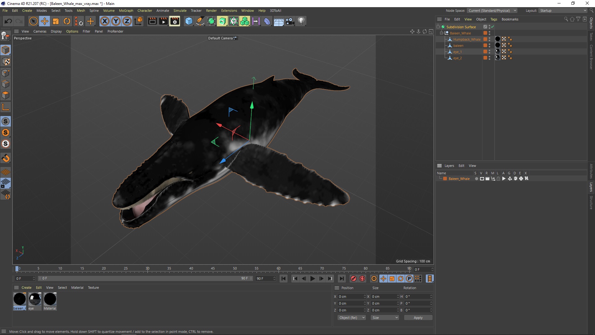 Baleen Whale 3D