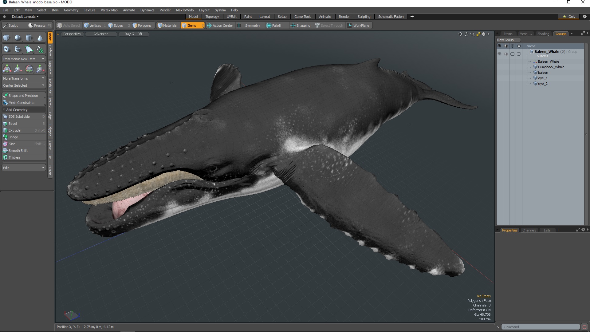 Baleen Whale 3D