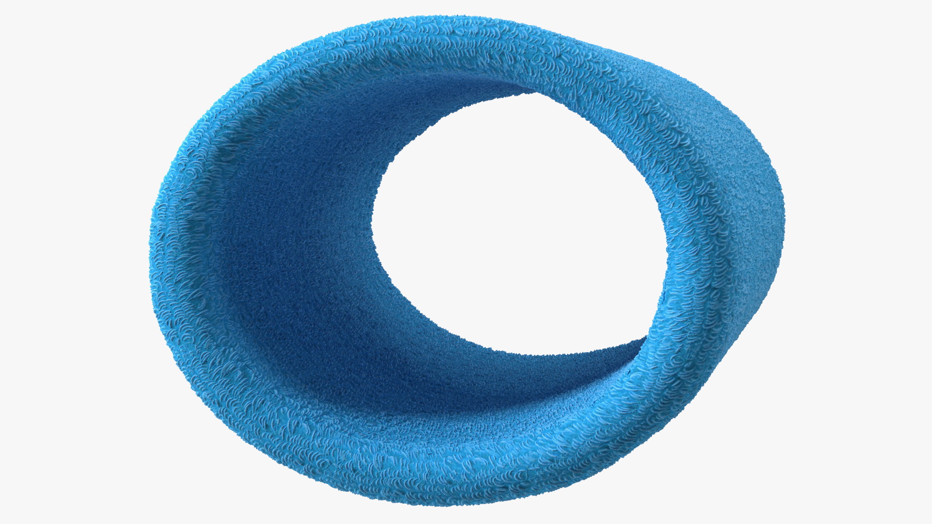 3D model Sport Wristband Blue