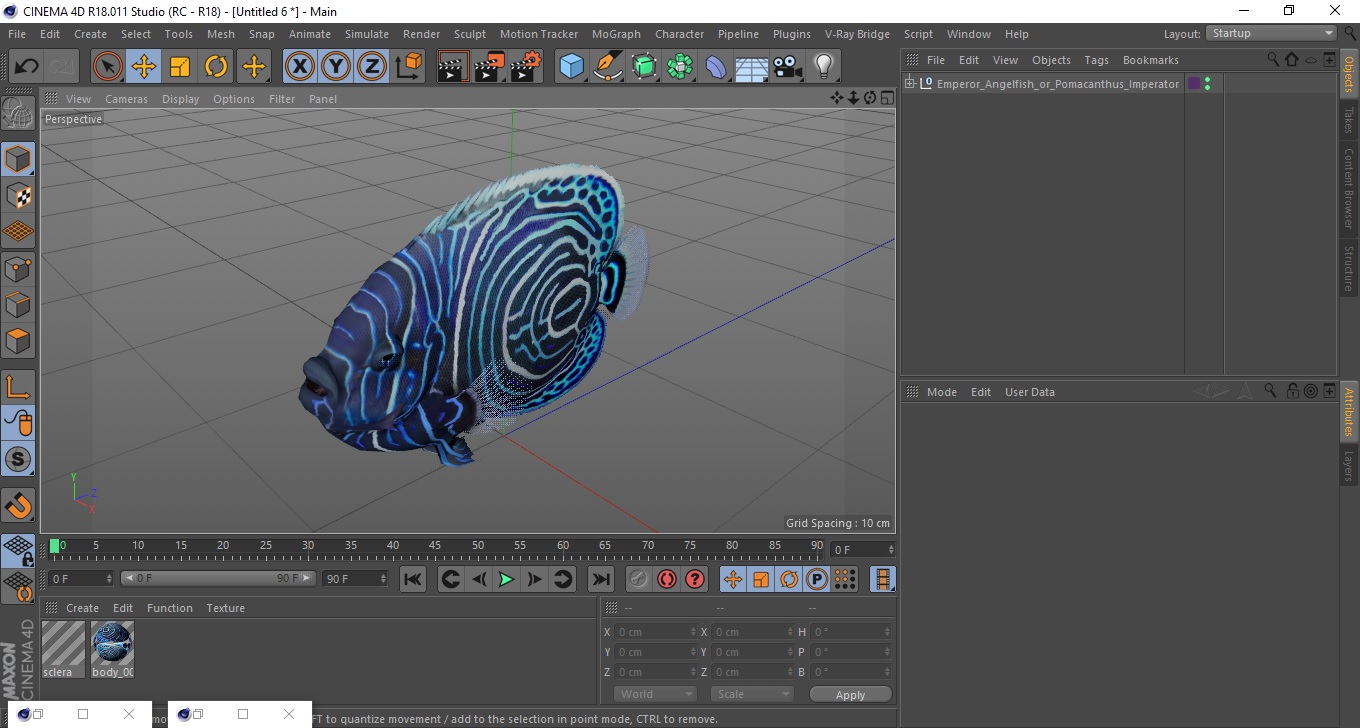 Emperor Angelfish or Pomacanthus Imperator 3D