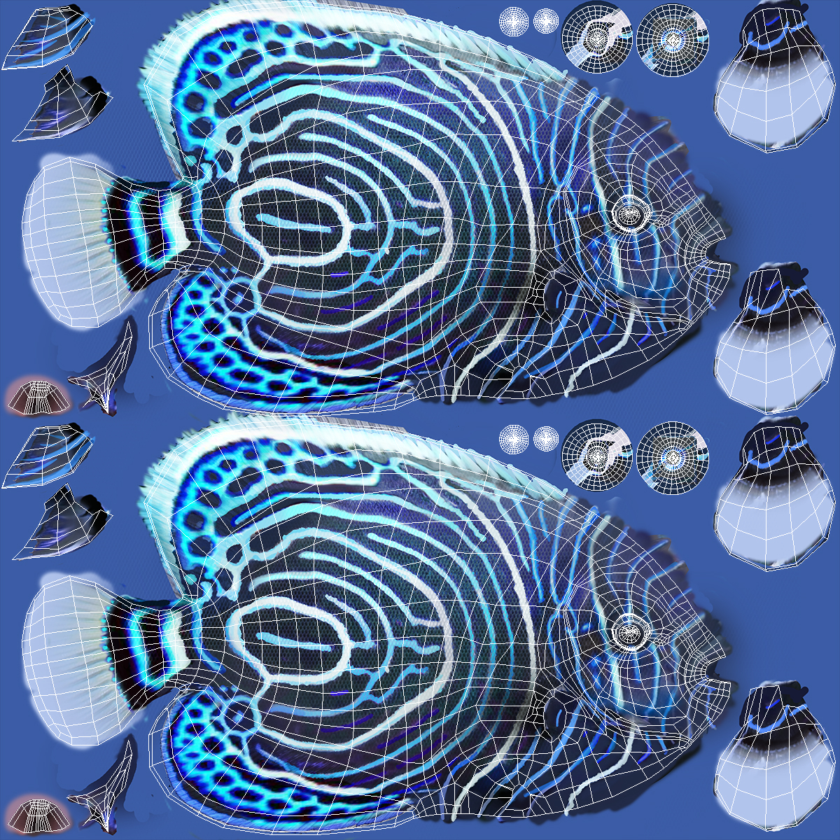 Emperor Angelfish or Pomacanthus Imperator 3D