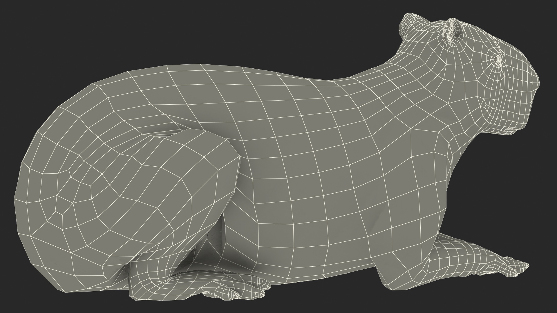 3D Capybara Lying Pose Fur model