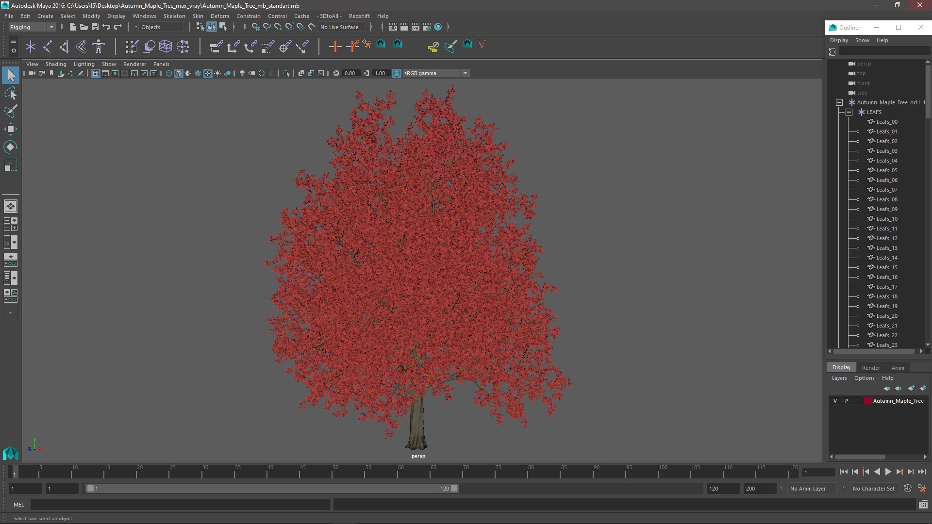 Autumn Maple Tree 3D