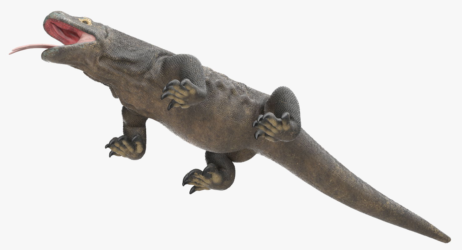 3D model Komodo Dragon Rigged