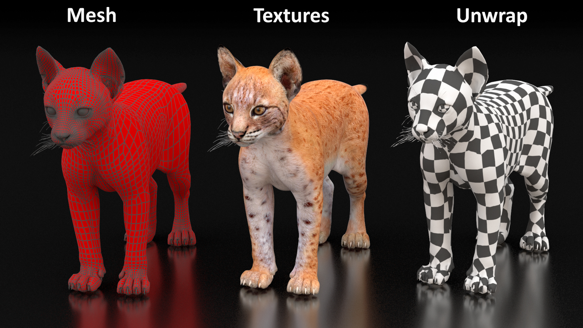 3D model Lynx Cub