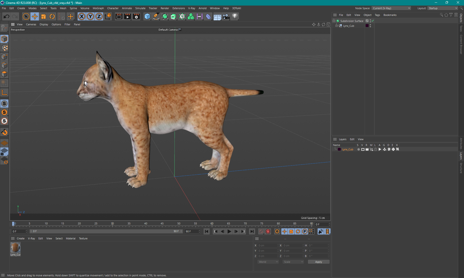 3D model Lynx Cub