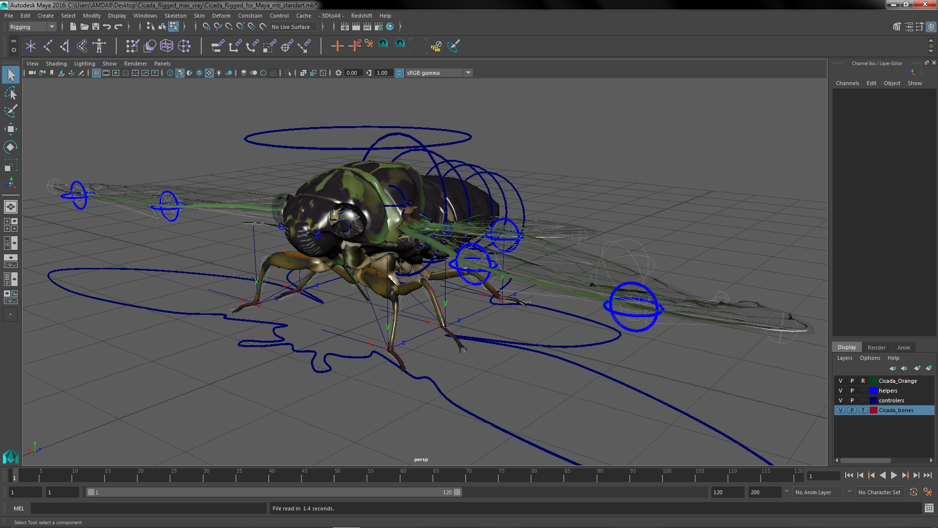 Cicada Rigged for Maya 3D