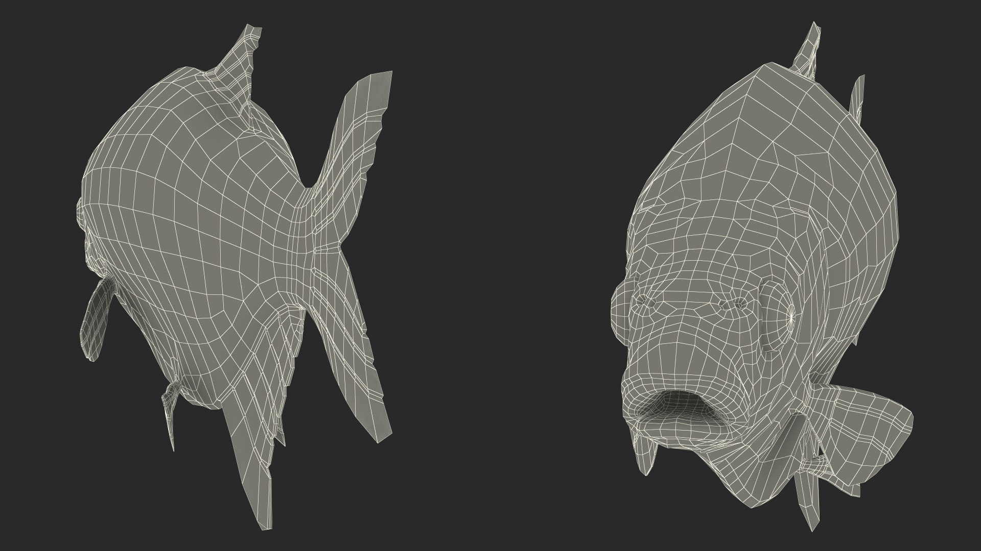 3D Bronze Bream Fish Rigged for Maya model