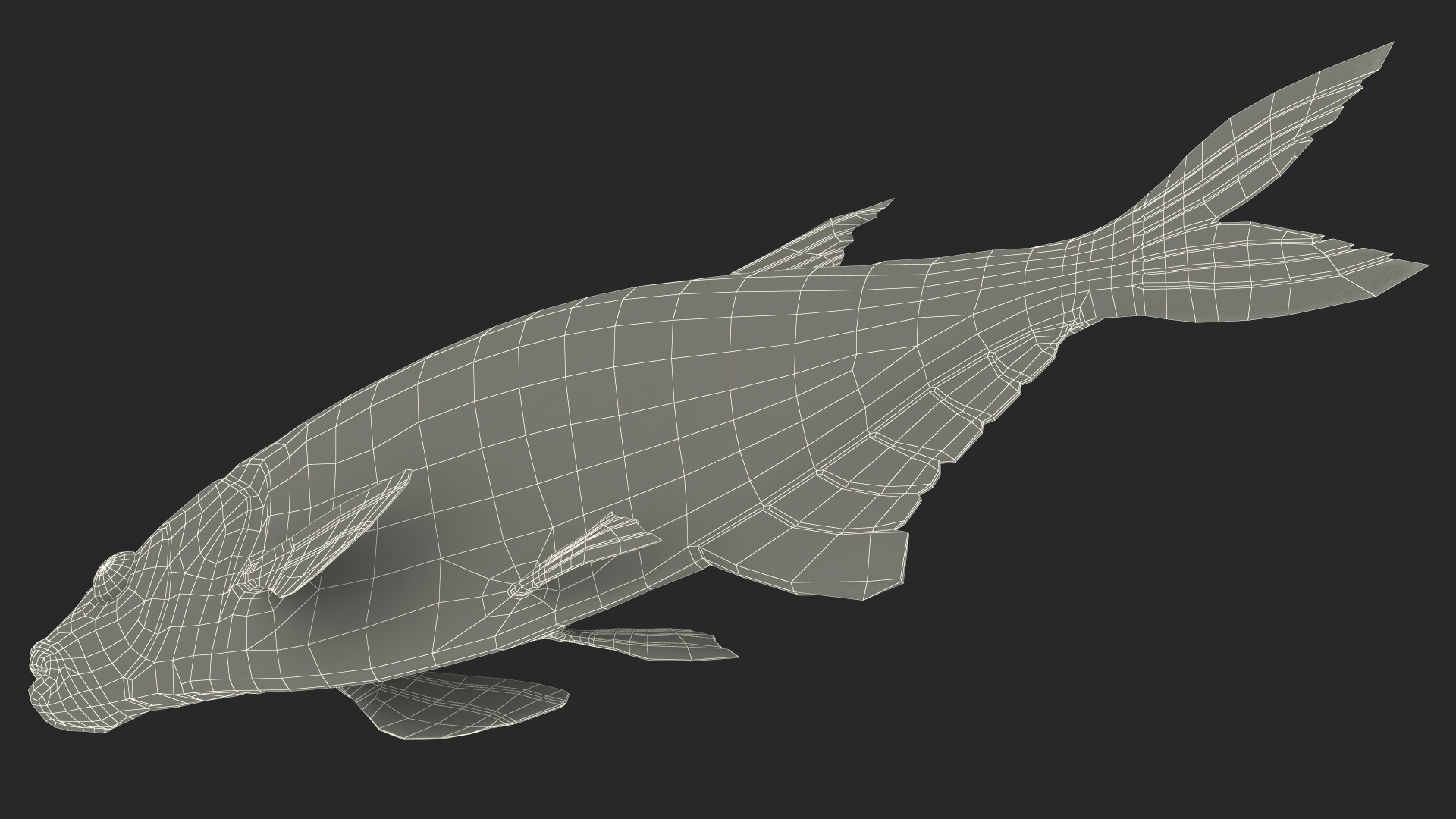 3D Bronze Bream Fish Rigged for Maya model