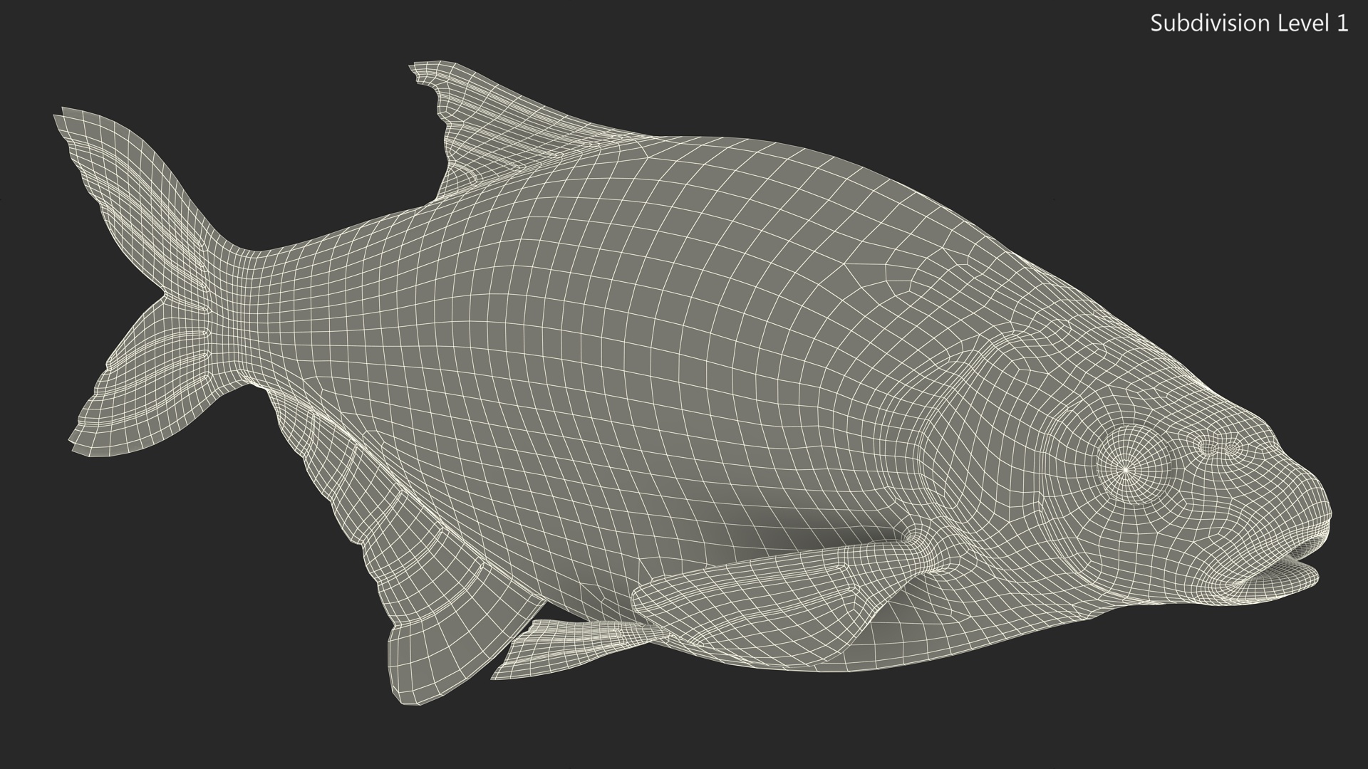 3D Bronze Bream Fish Rigged for Maya model