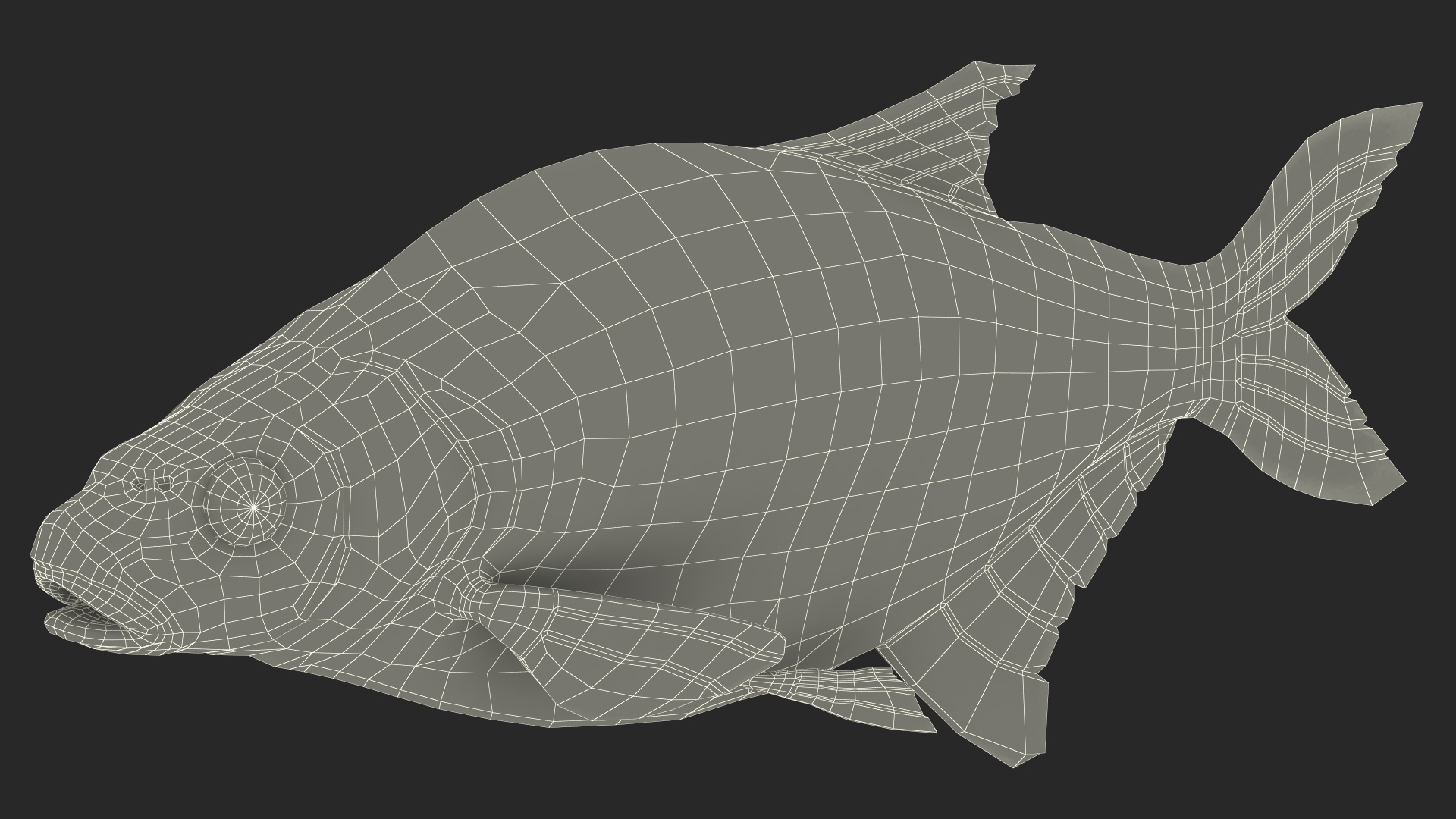 3D Bronze Bream Fish Rigged for Maya model