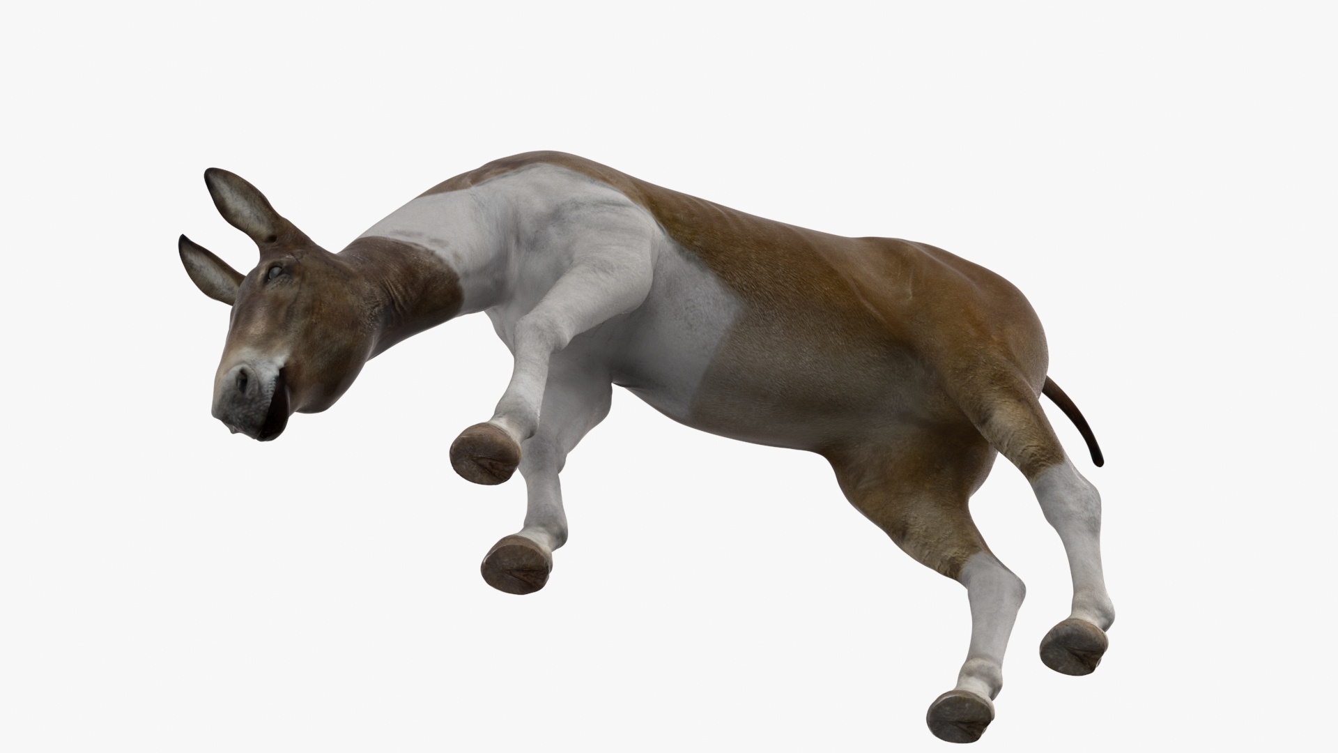 3D Eating Mule