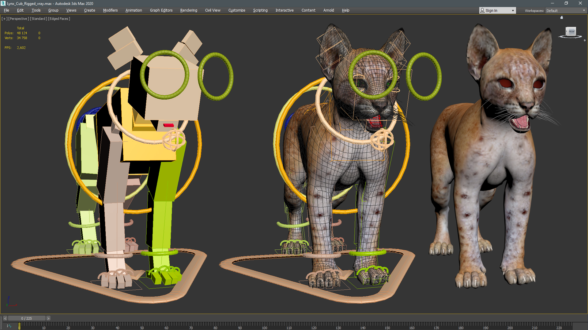 3D model Lynx Cub Rigged