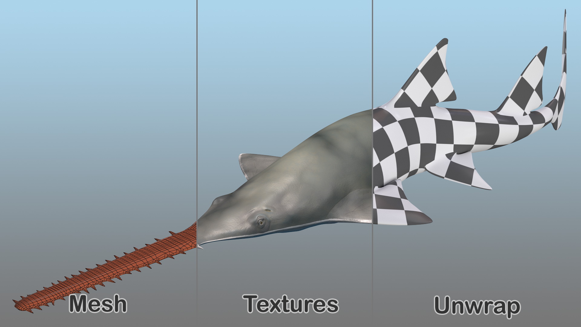 Sawfish Rigged 3D model