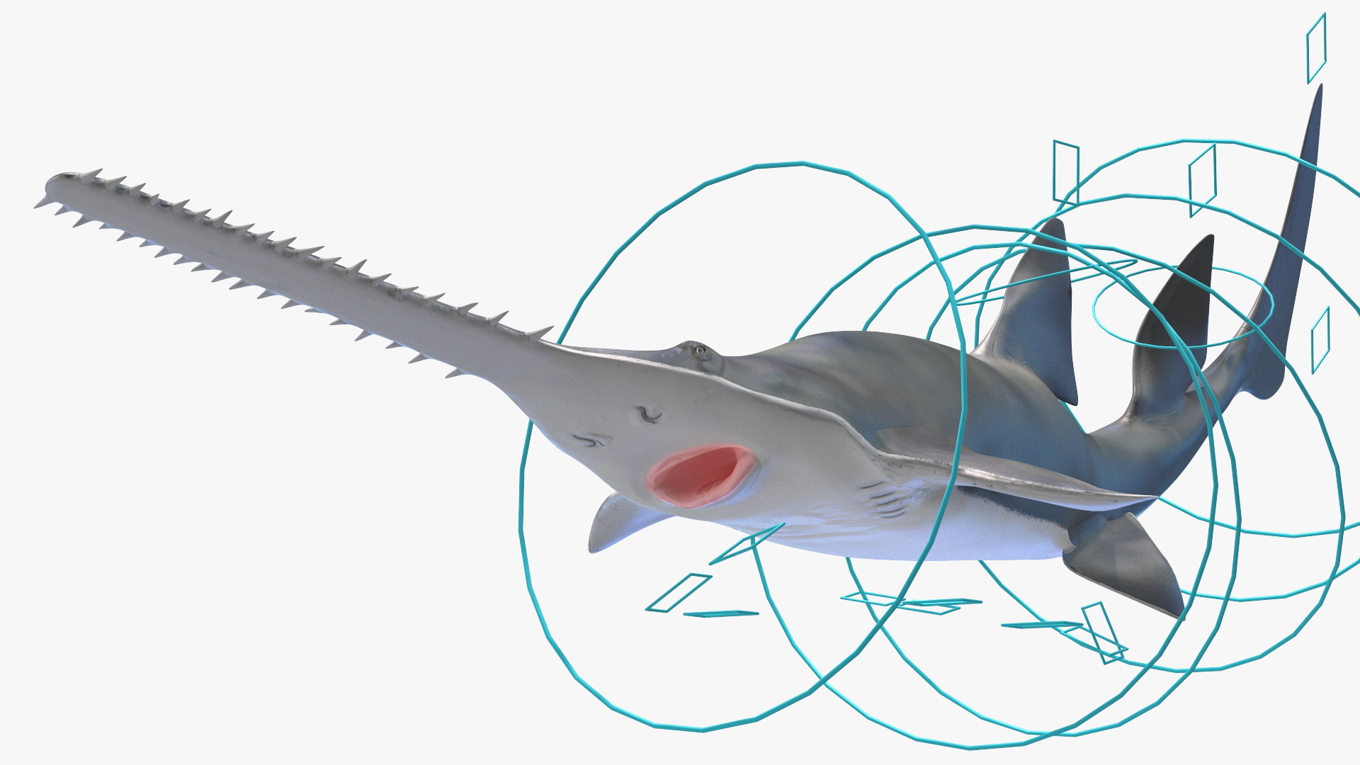 Sawfish Rigged 3D model