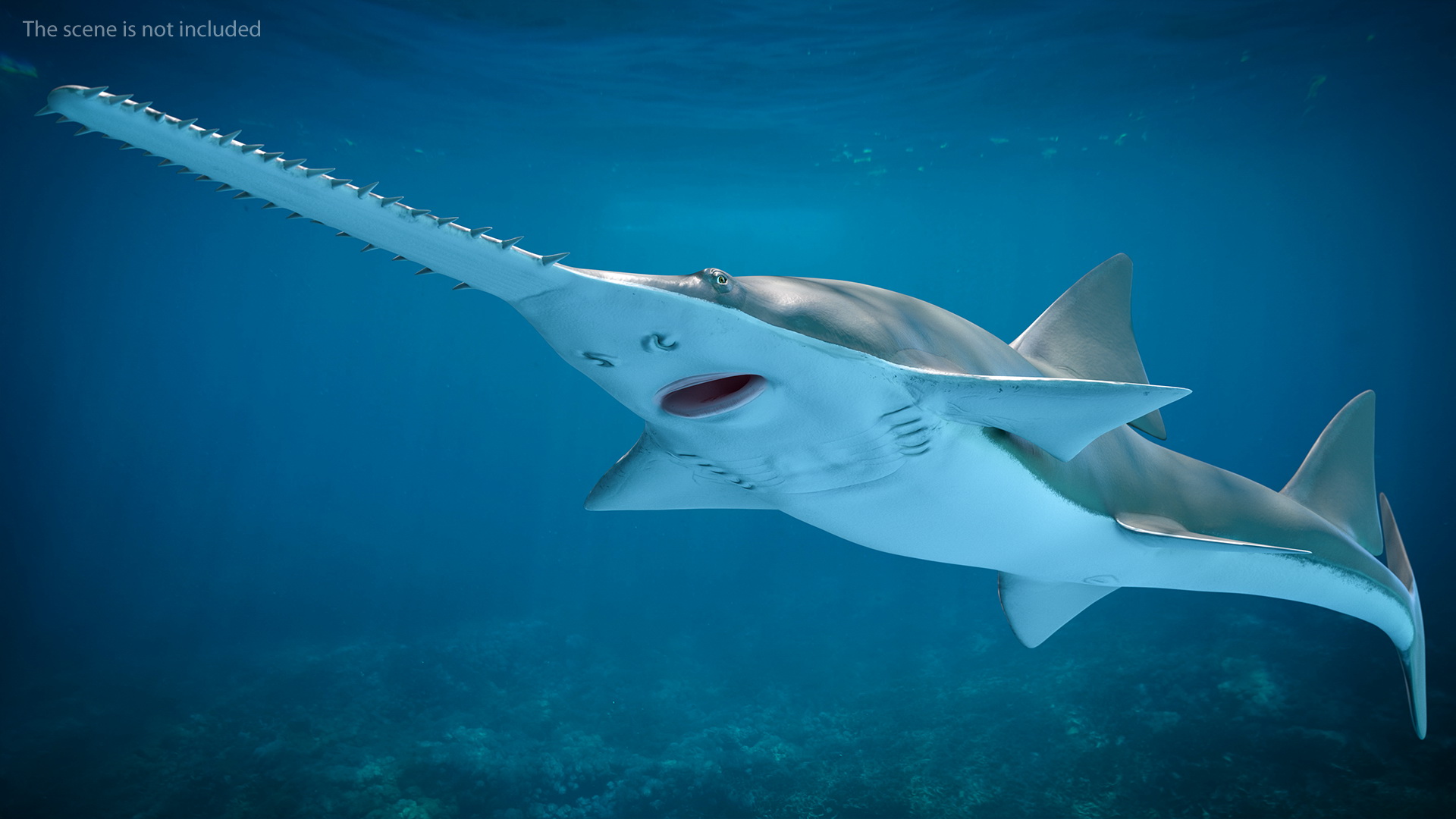 Sawfish Rigged 3D model