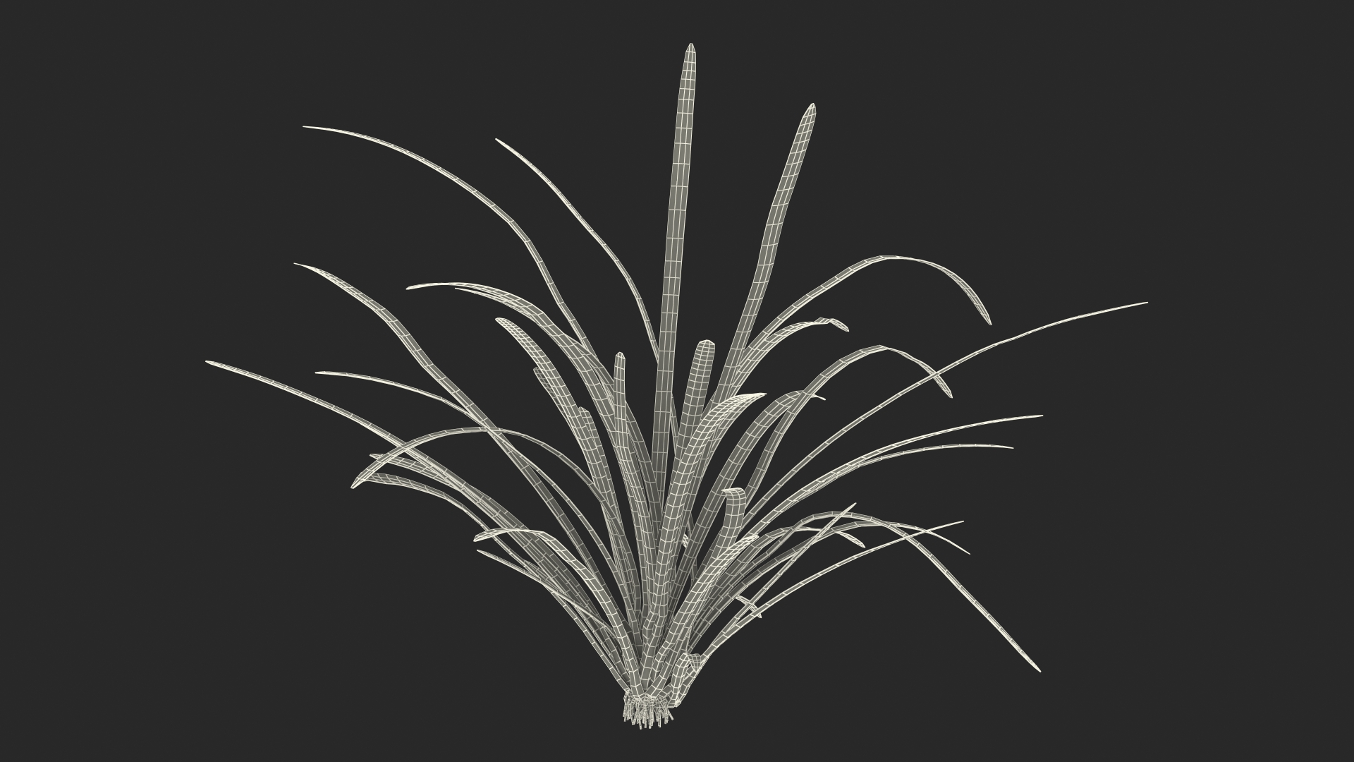 Aquatic Plant Sagittaria Dead 3D model