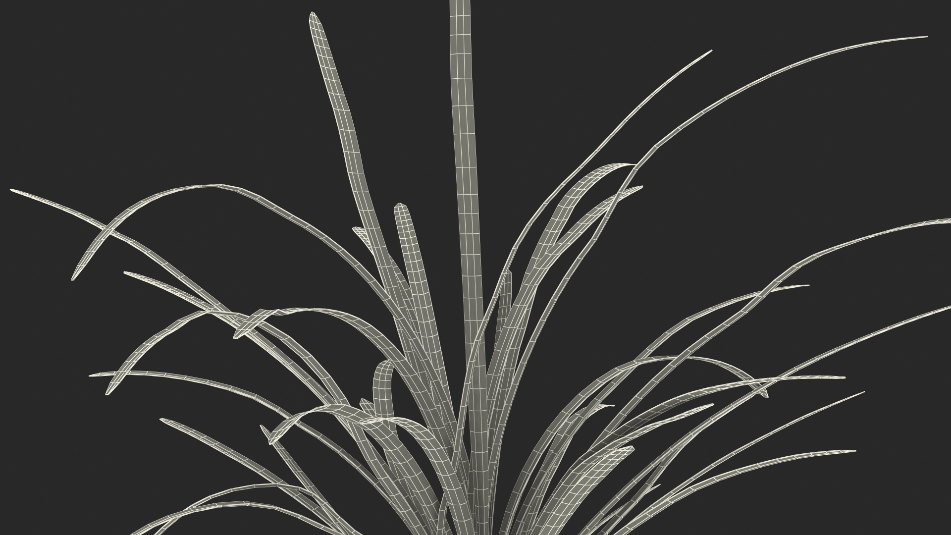 Aquatic Plant Sagittaria Dead 3D model