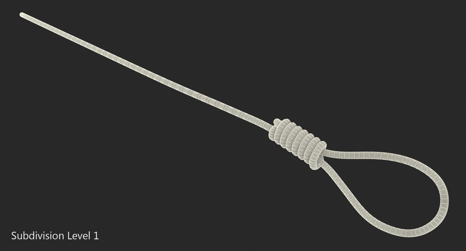 Noose 3D model