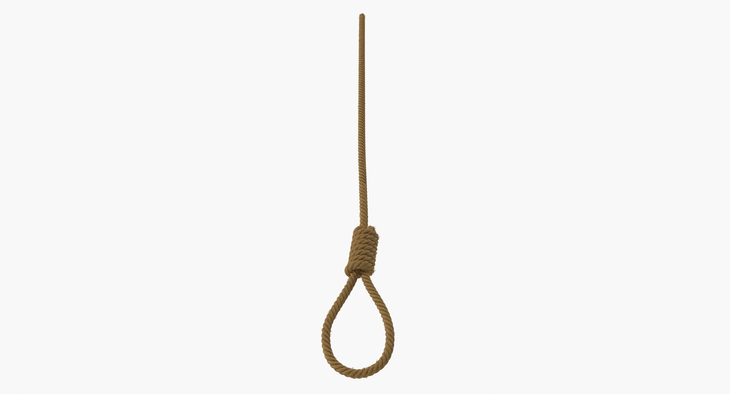 Noose 3D model