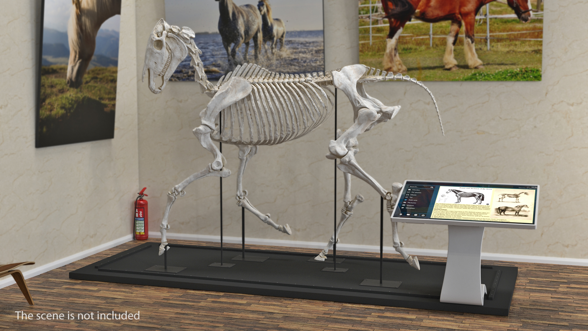 Horse Skeleton Running Pose 3D