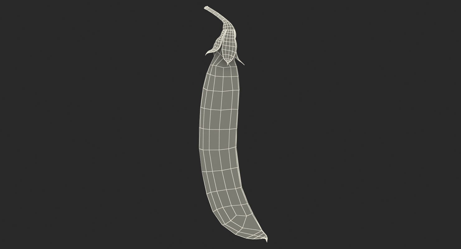 3D model Fresh Pea Pod Closed