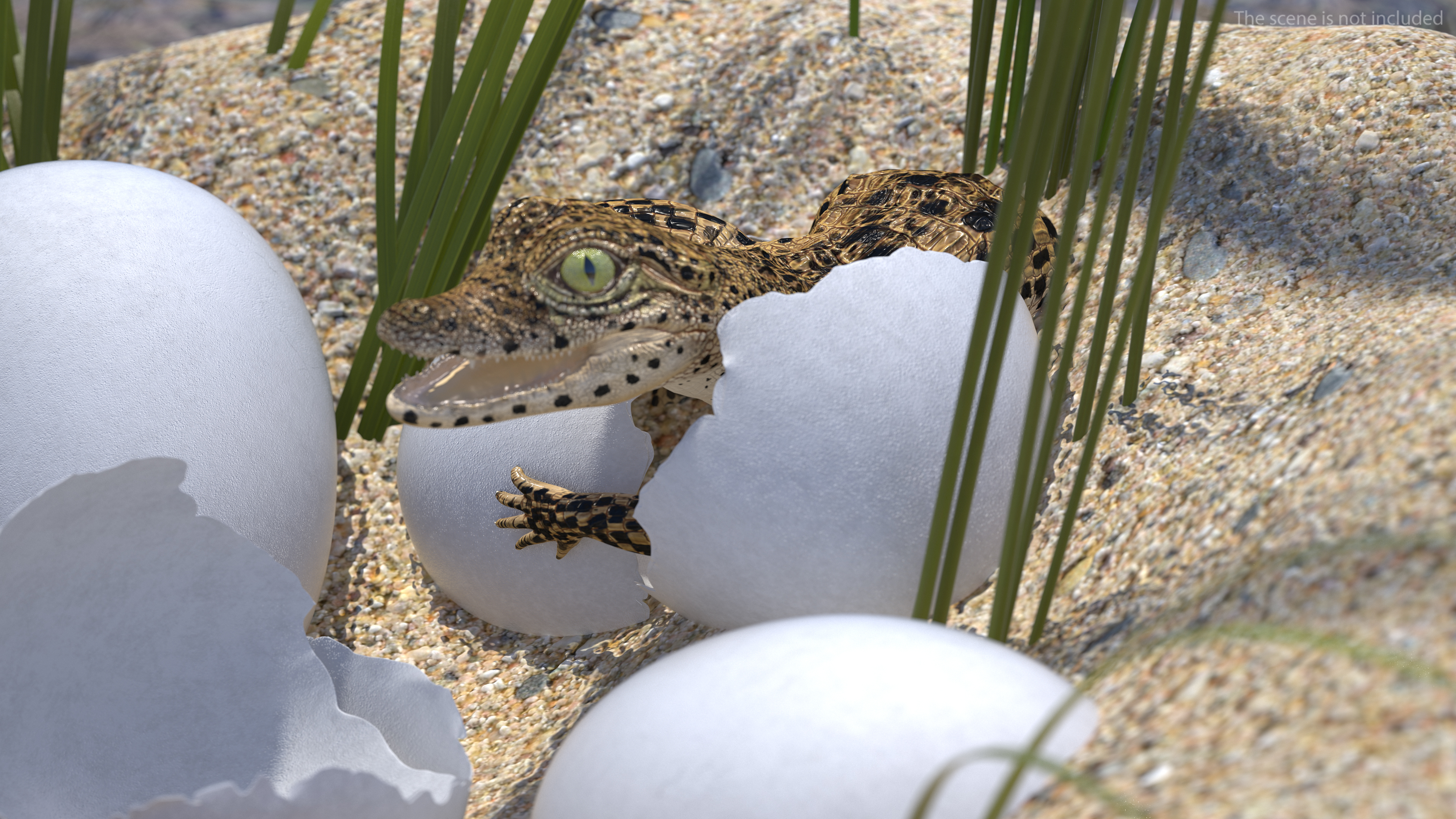 3D model Baby Crocodiles Nest